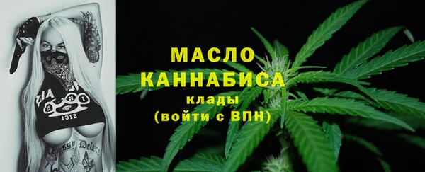 тгк Гусев