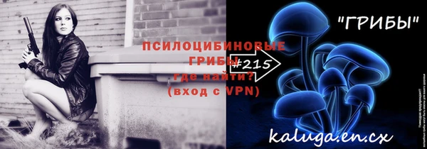 тгк Гусев