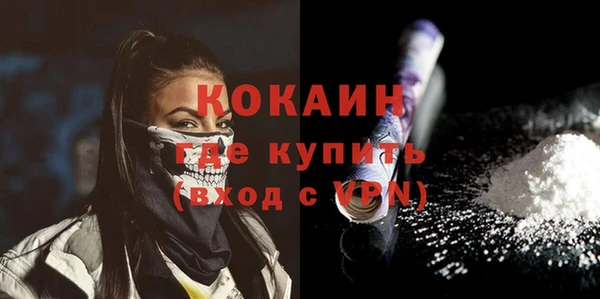 тгк Гусев