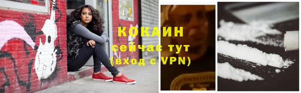 тгк Гусев