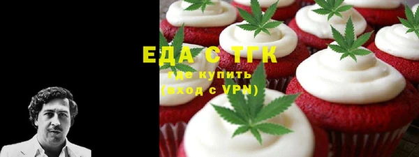 тгк Гусев