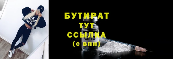 тгк Гусев