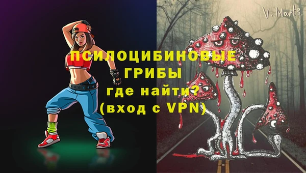 тгк Гусев