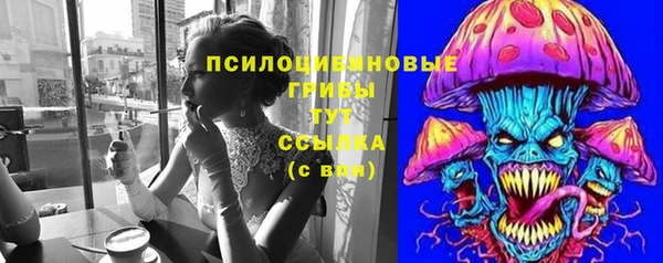 тгк Гусев
