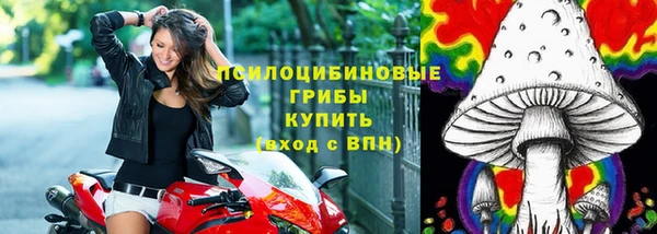 тгк Гусев