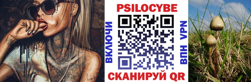 Купить Тосно Галлюциногенные грибы Magic Shrooms